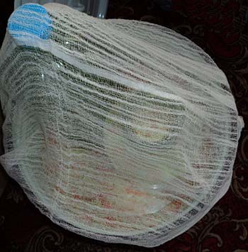 кваш кап3