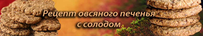 Рецепт овсяного печенья с солодом