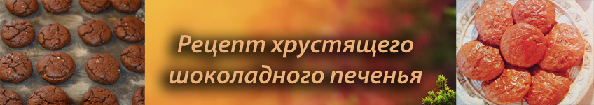 Рецепт хрустящего шоколадного печенья