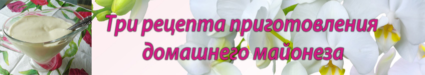 Рецепт быстрого классического майонеза
