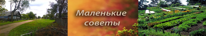 Советы огородникам