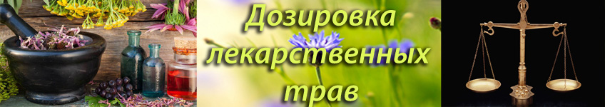 Дозировка лекарственных трав
