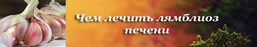 Чем лечить лямблиоз печени