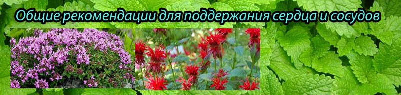 Общие рекомендации сердце и сосуды