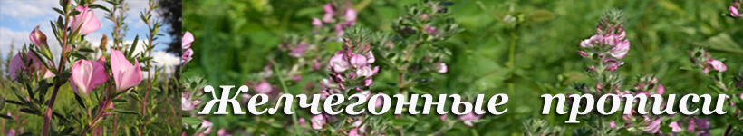 Желчегонные сборы