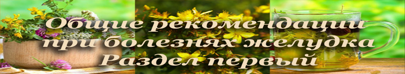 Лечение желудка травами,рецепты и сборы
