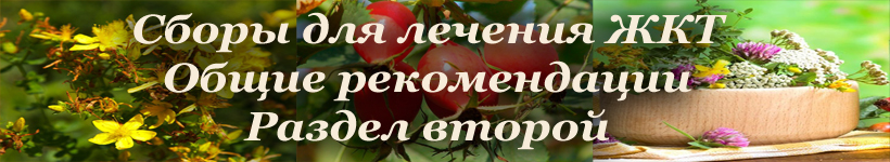 Общие сборы лечения желужка травами