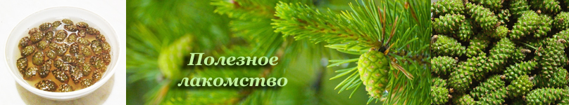Варенье из сосновых шишек