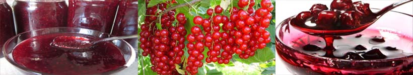 Варенье из красной смородины