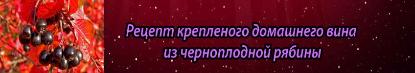 Рецепт вина из черноплодки