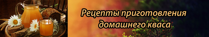 Рецепты домашнего кваса