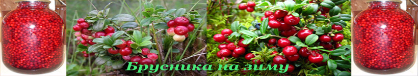 Как заготовить бруснику на зиму