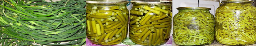 Стрелки чеснока маринованные